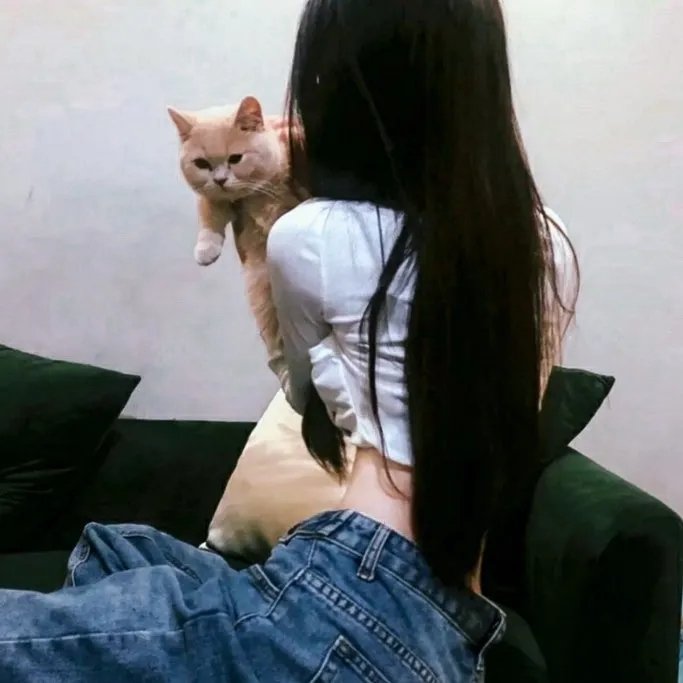 洛克人 向星星许愿